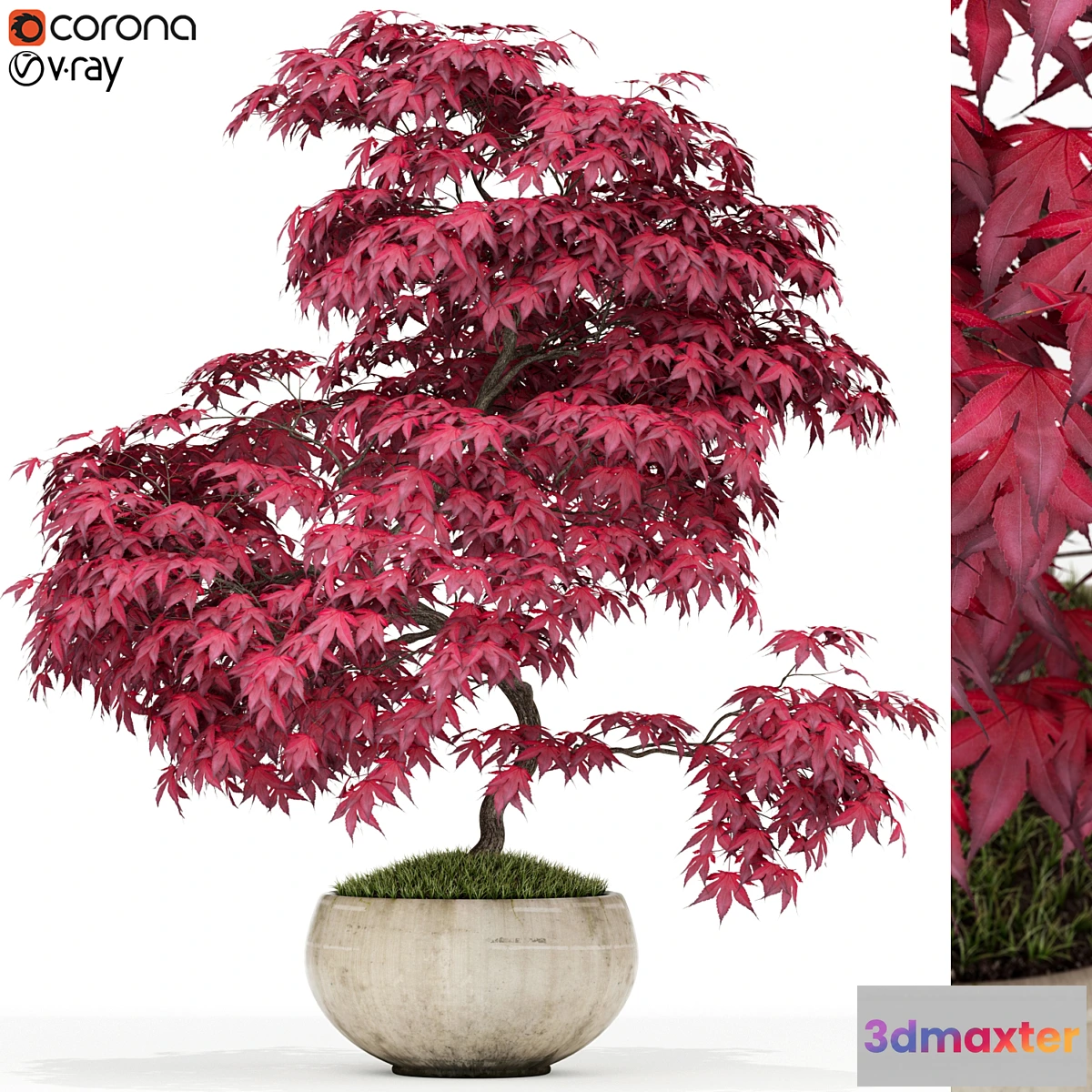 1324493 - Plants collection 164 3D Max