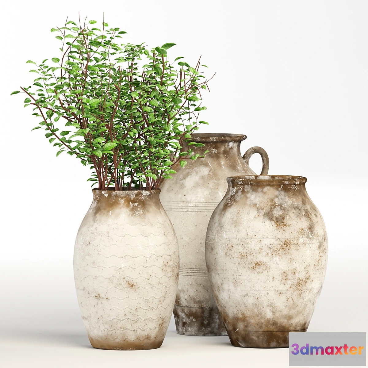 1327551 - decor-jug 3D Max