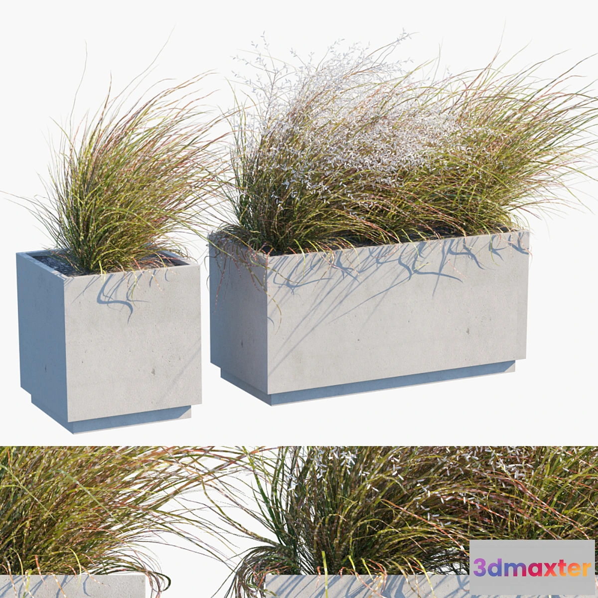 1327680 - Plant in pots # 27 Wind blows 3D Max