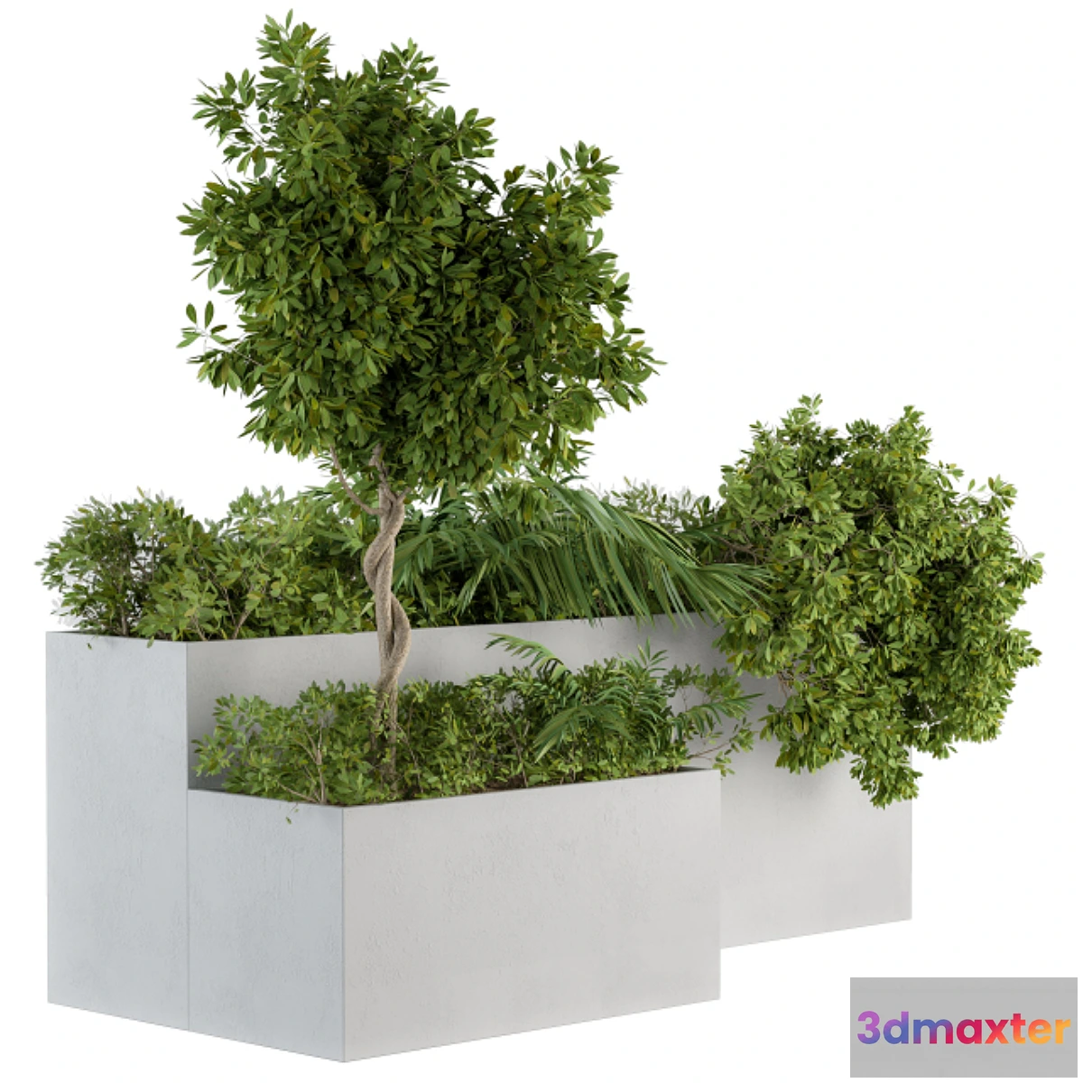1328125 - outdoor Plants Concrete Box - Set 45 3D Max