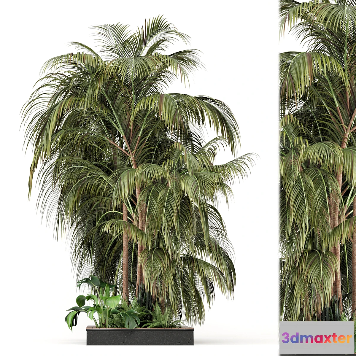 1329178 - Outdoor Garden set bush and Tree - Garden Set 126 3D Max