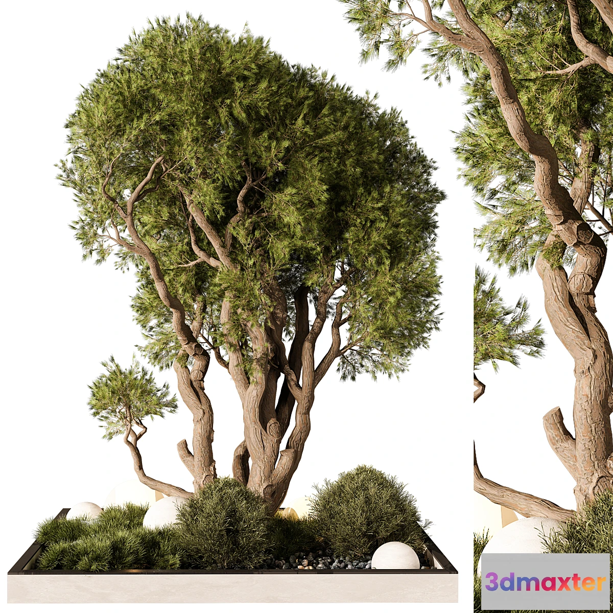 1330695 - Outdoor Plant 247 3D Max