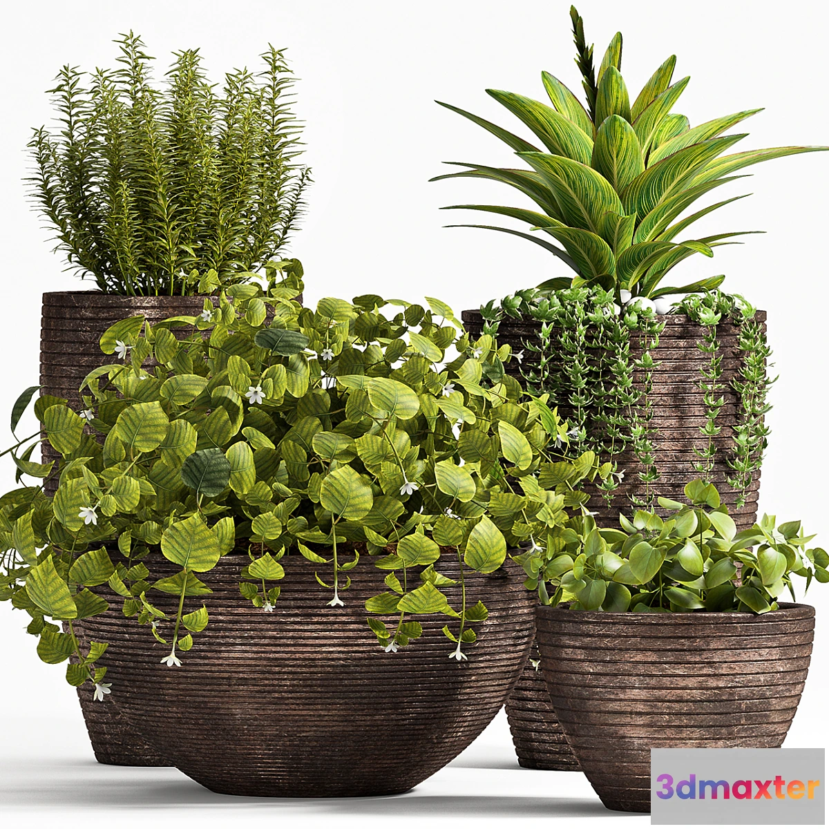 1330816 - PLANT SET -101 3D Max