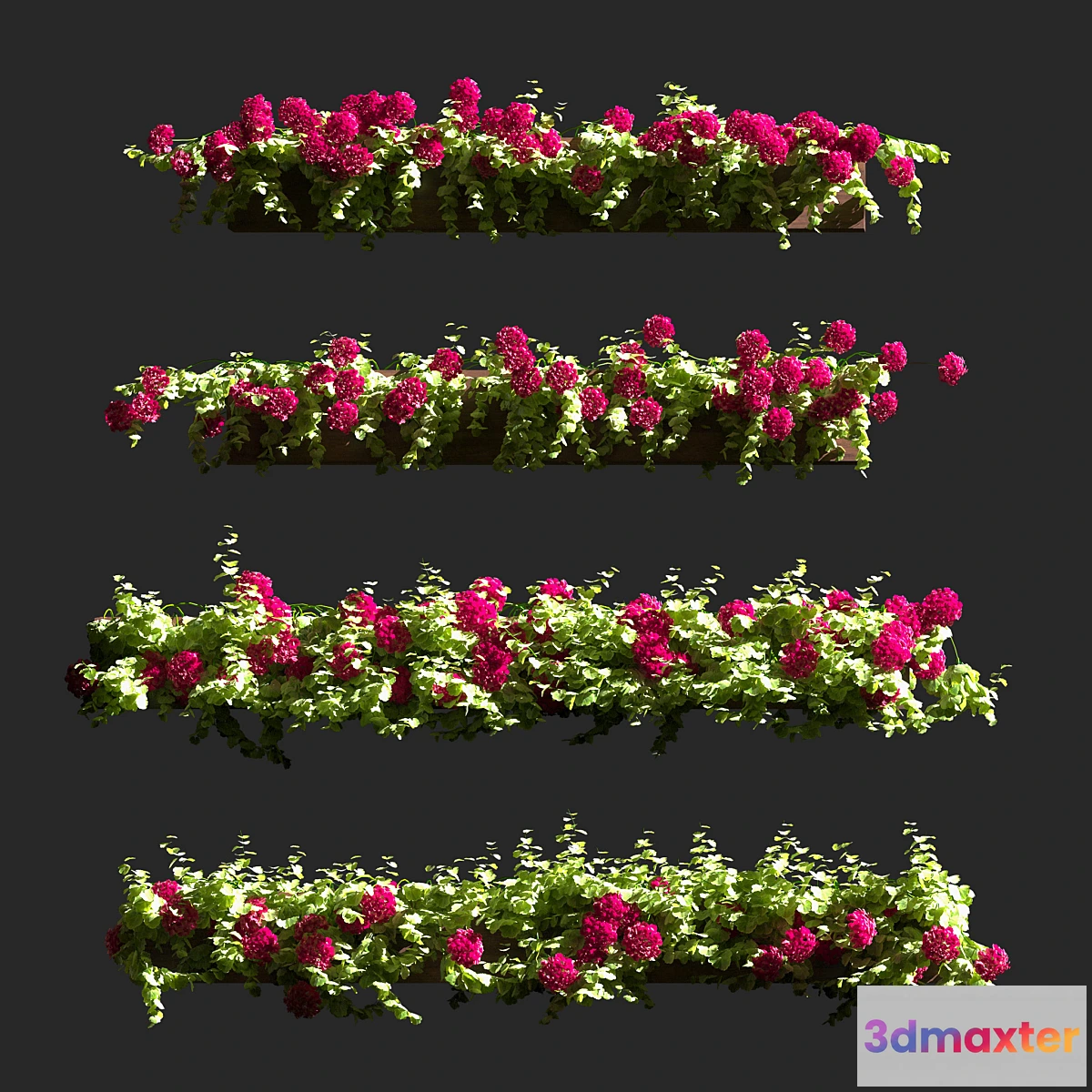 1332719 - Plant Geranium Facade v2 3D Max