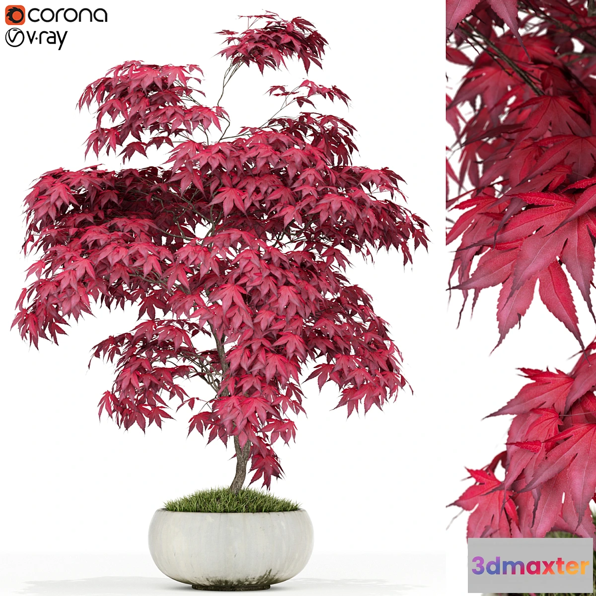 1333144 - Plants collection 165 3D Max