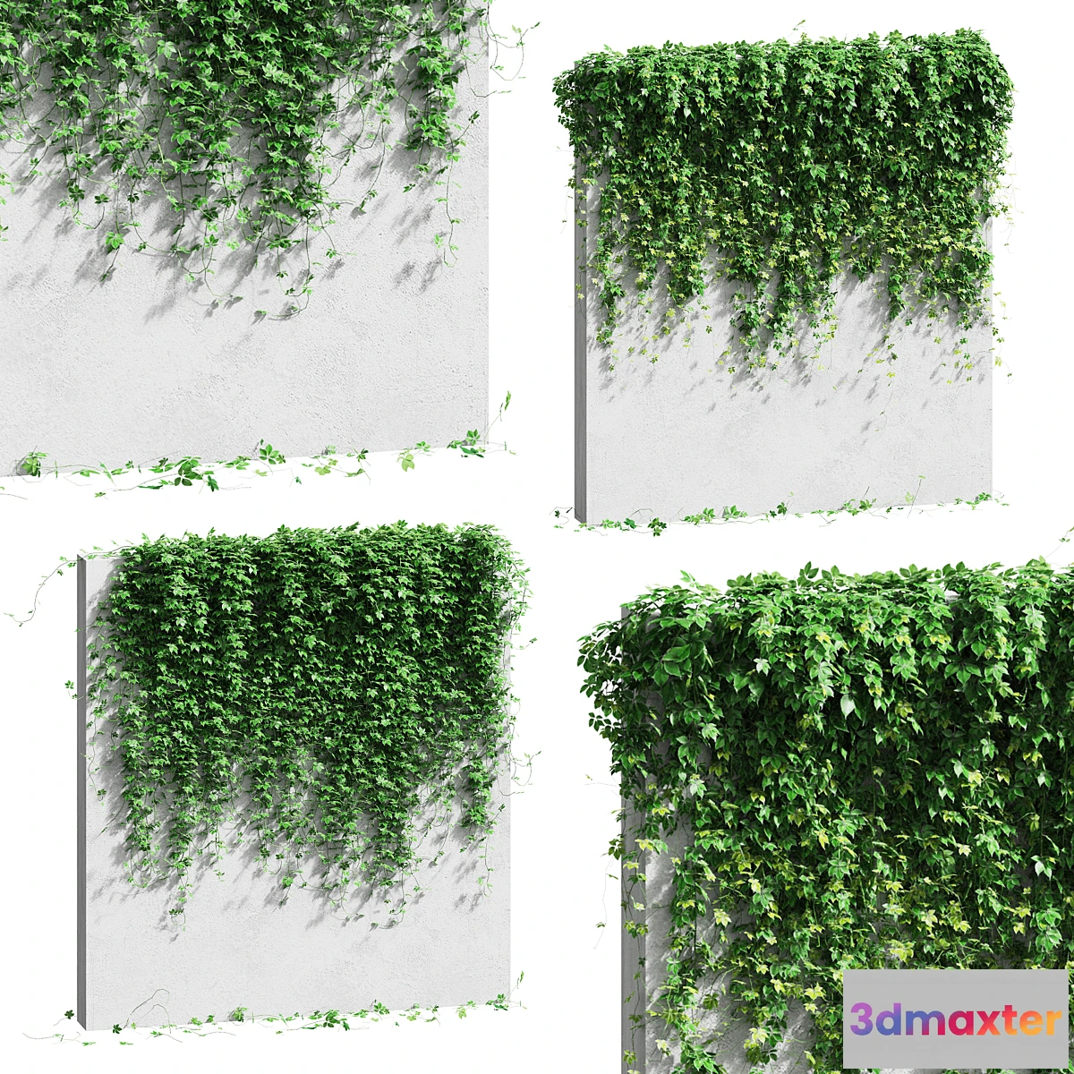 1333410 - Wall with grape leaves 3D Max