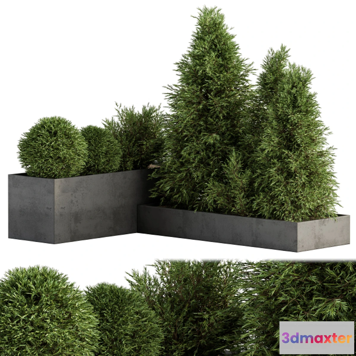 1334550 - Outdoor Plant Set 231 - Plant Box with Tree 3D Max
