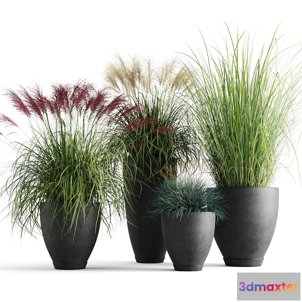 1334781 - Decorative cereals in pots 3D Max