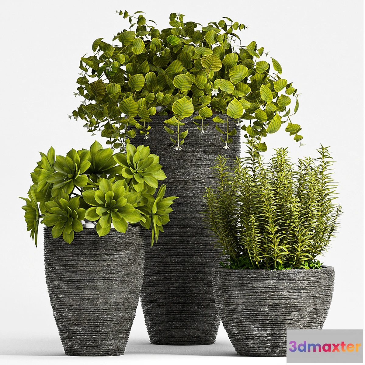 1335366 - PLANT SET - 75 3D Max
