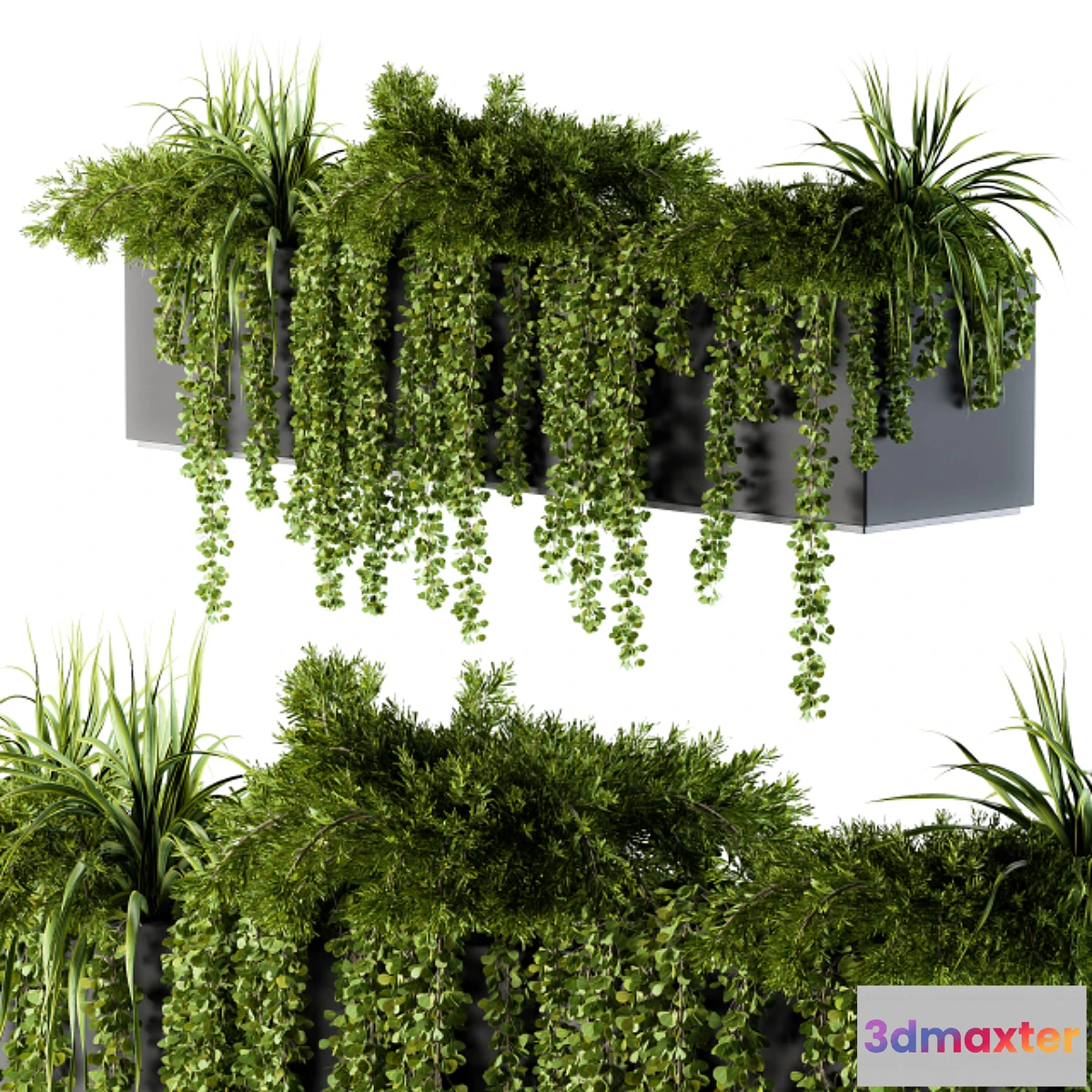 1335856 - ivy plants in box - Outdoor Set 62 3D Max