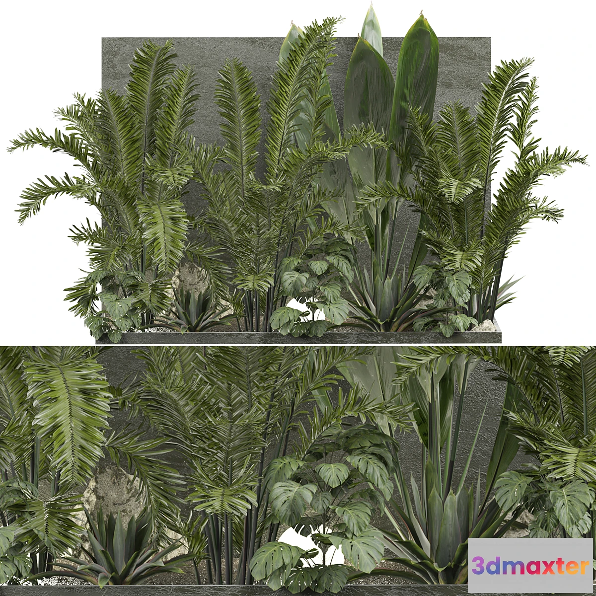 1337047 - Outdoor Plant 239 3D Max