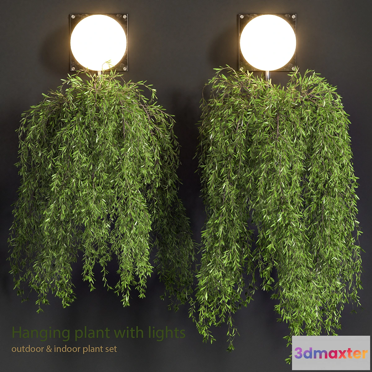 1338794 - Hanging Plant with Lights 3D Max