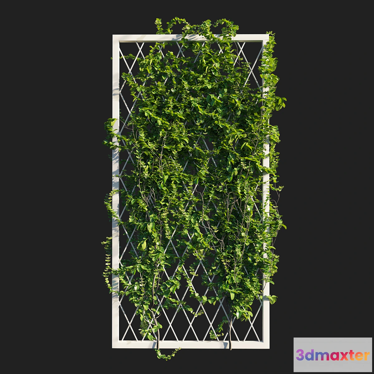 1342283 - Vines on wall 3D Max