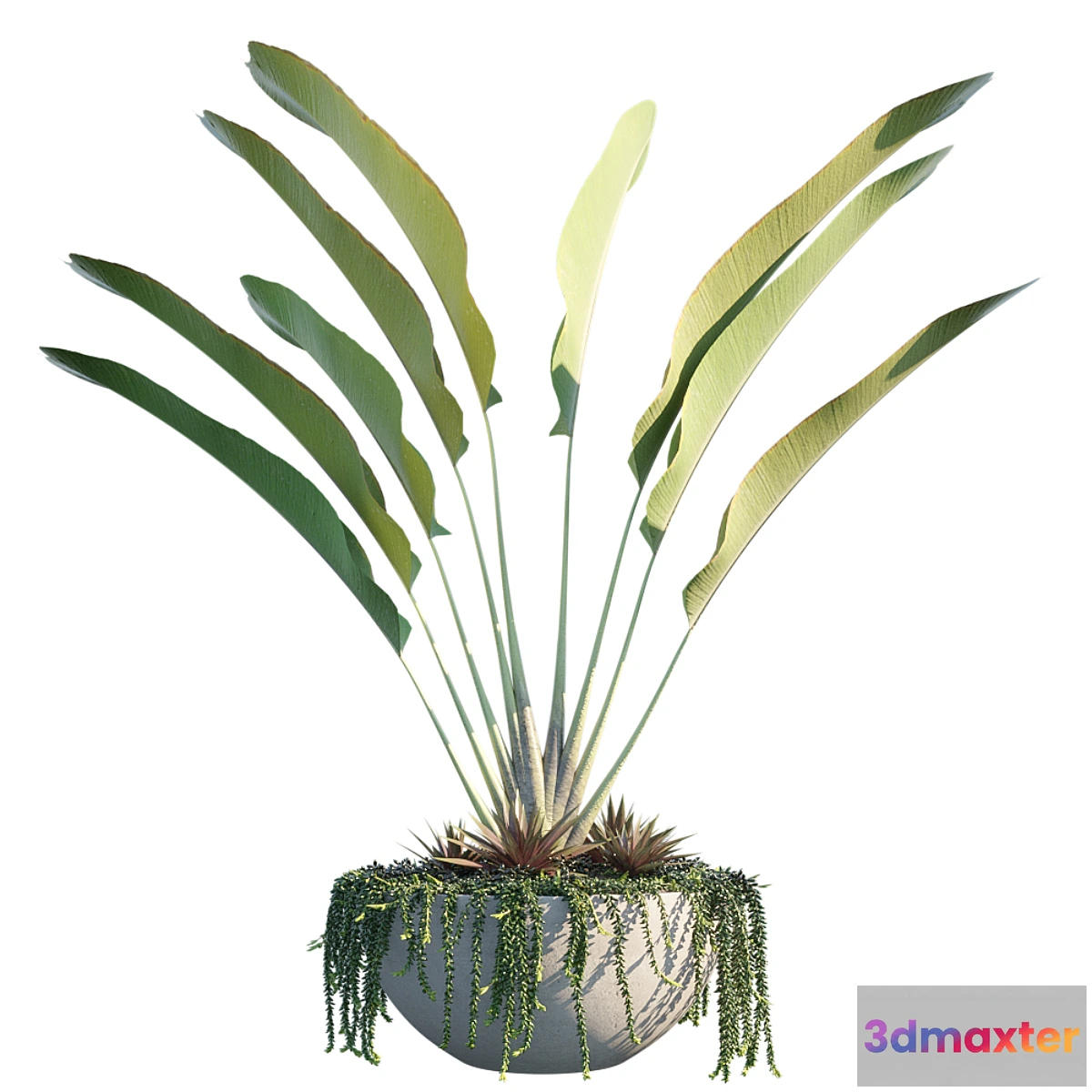 1342859 - Plant in pots # 9 Tropical Inspiron 3D Max