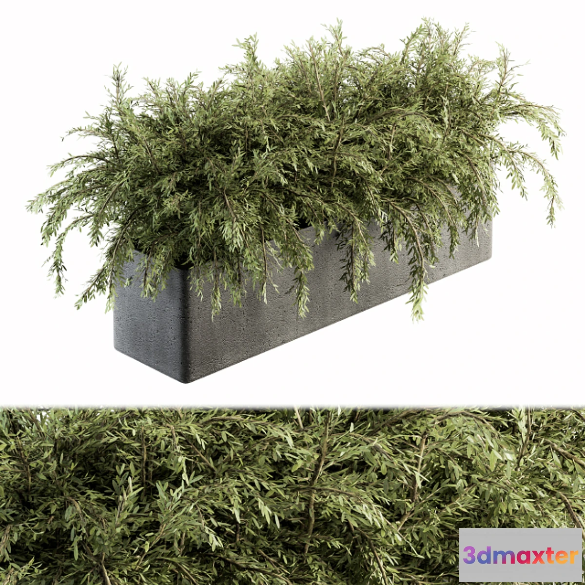 1343394 - Outdoor Plant Set 180 - Plant in Pot - No.2 3D Max