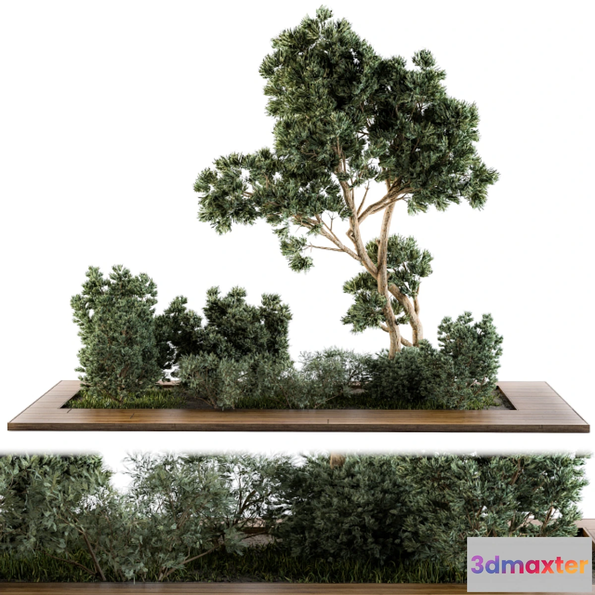 1343489 - Garden set bush and Tree - Garden Set 06 3D Max