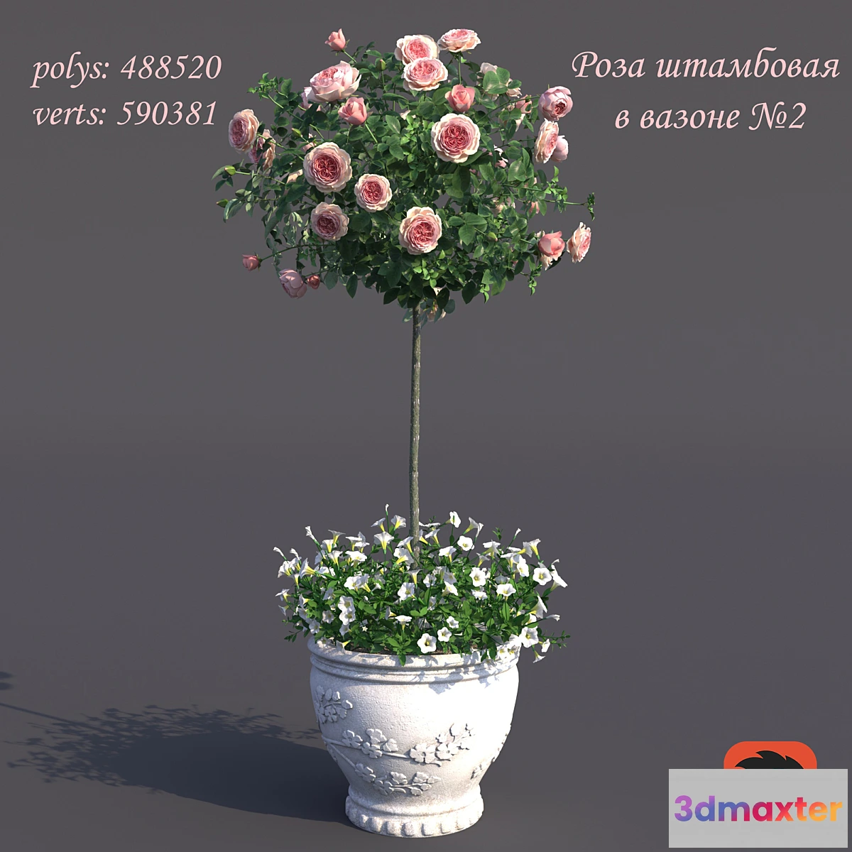 1344549 - Rosa shtambovaya in a pot No. 2 3D Max