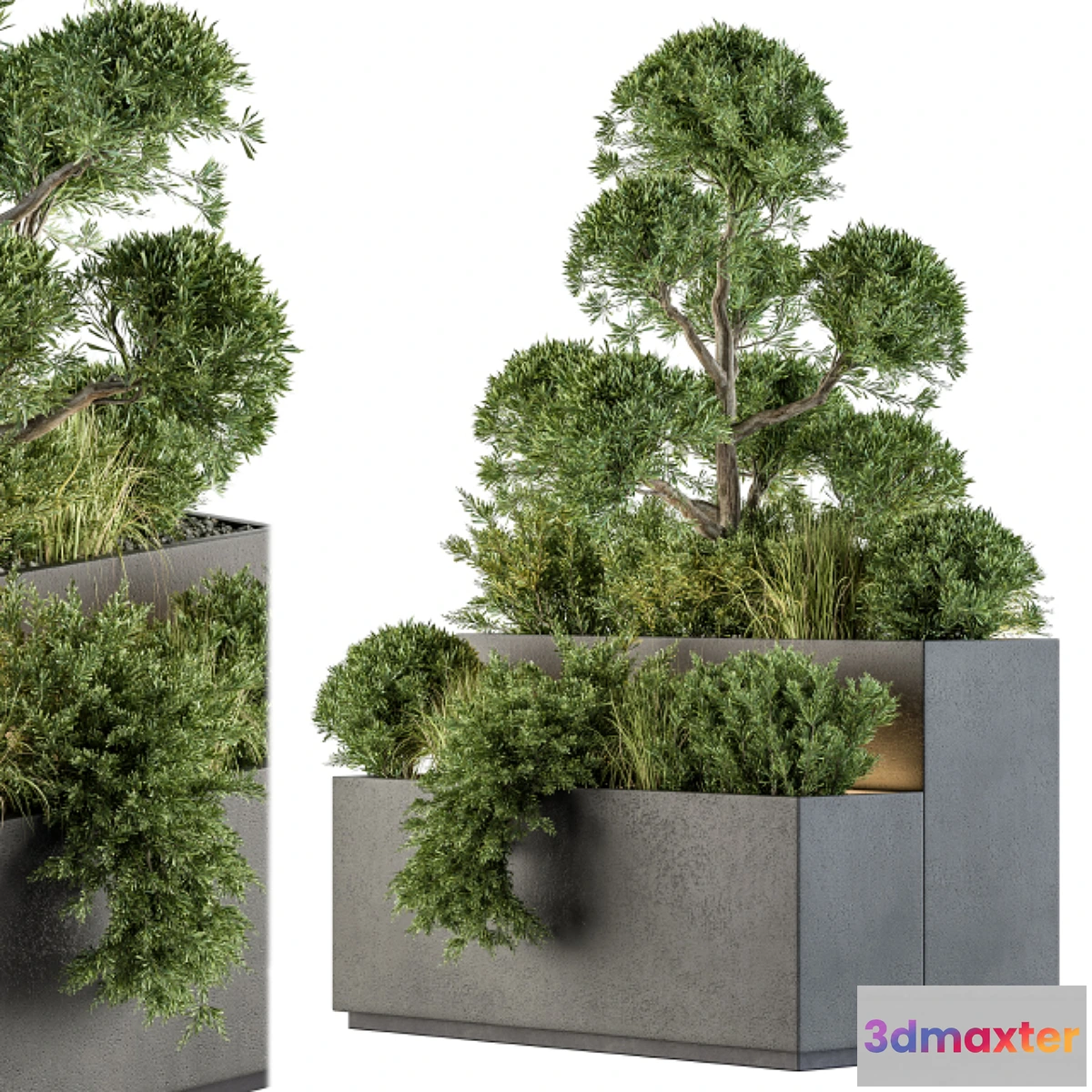 1349224 - Outdoor Plant Set 214 - Plant Box 3D Max