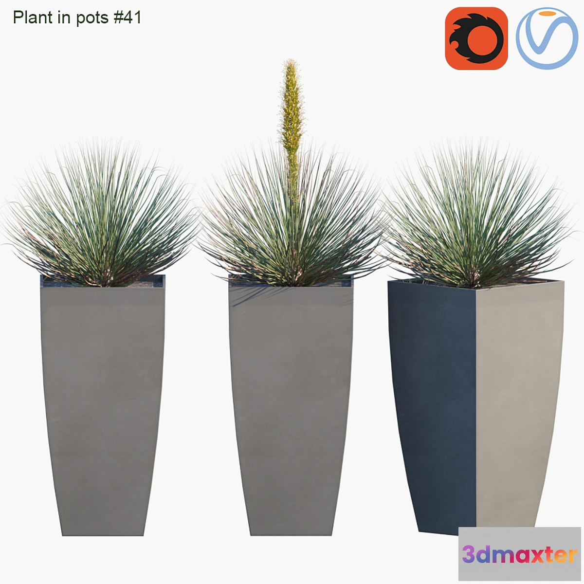 1354835 - Plant in pots # 41 Agave 3D Max