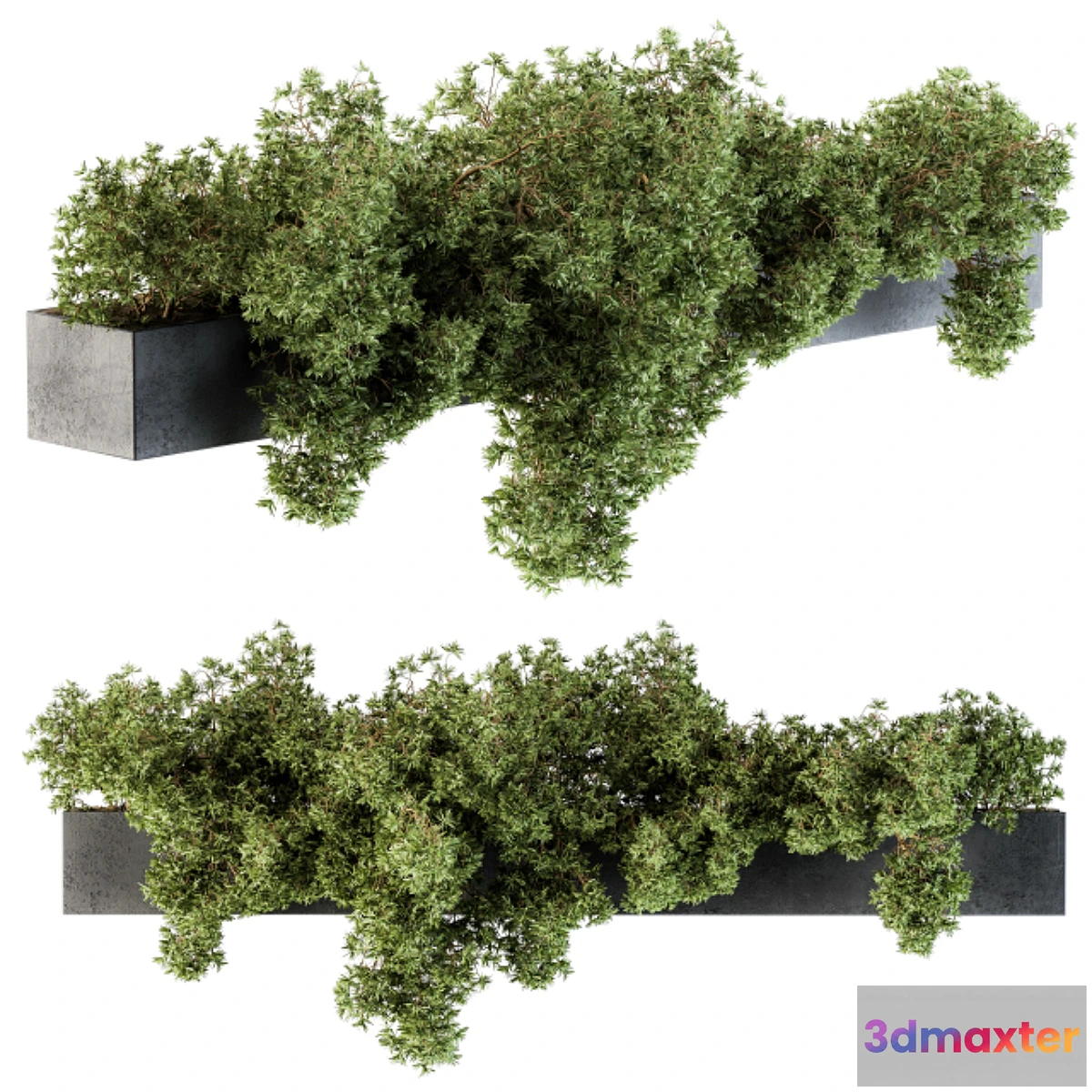 1355406 - Outdoor Plant Set 103 - Hanging Plants 3D Max