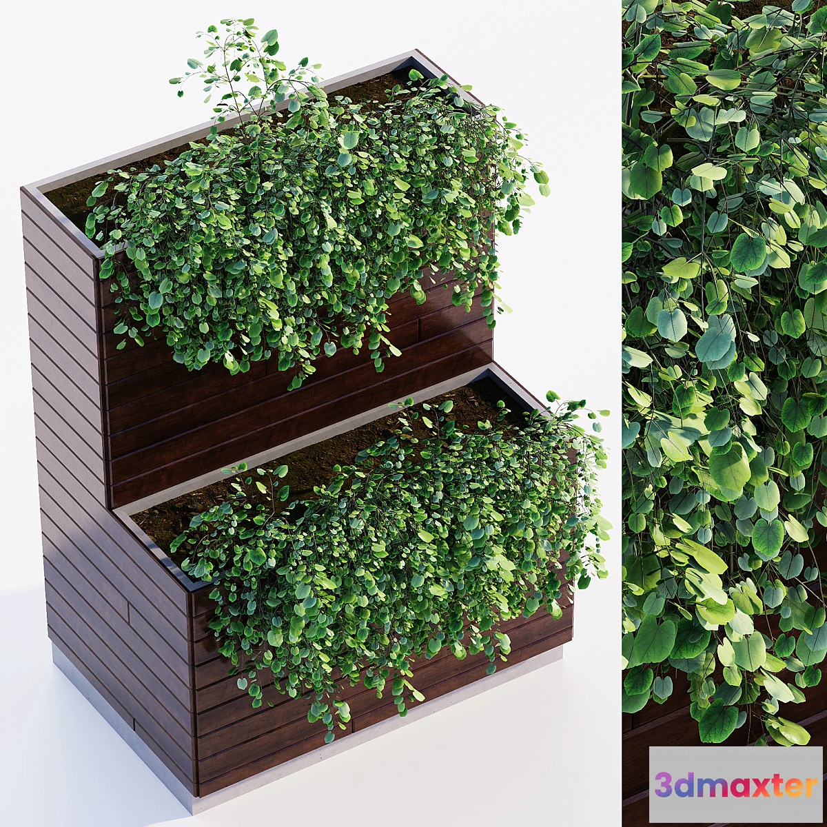 1356002 - Outdoor plant 3D Max