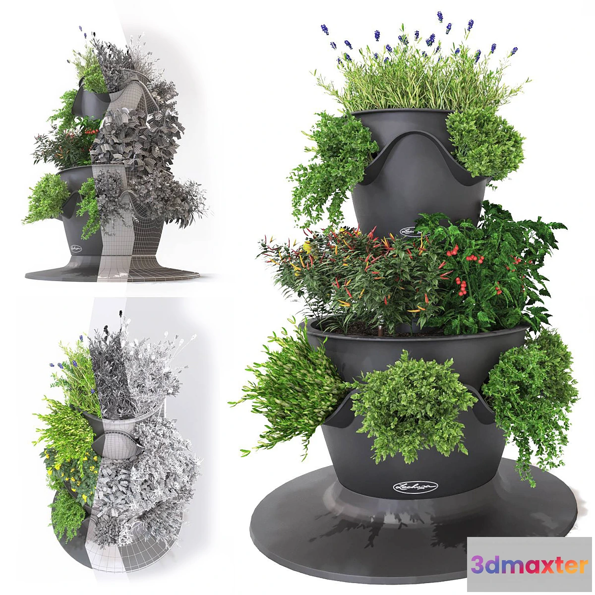 1391956 - Vegetables and herbs (Lechuza set) 3D Max