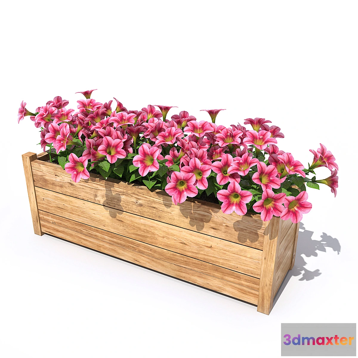 1393954 - Petunia 3D Max