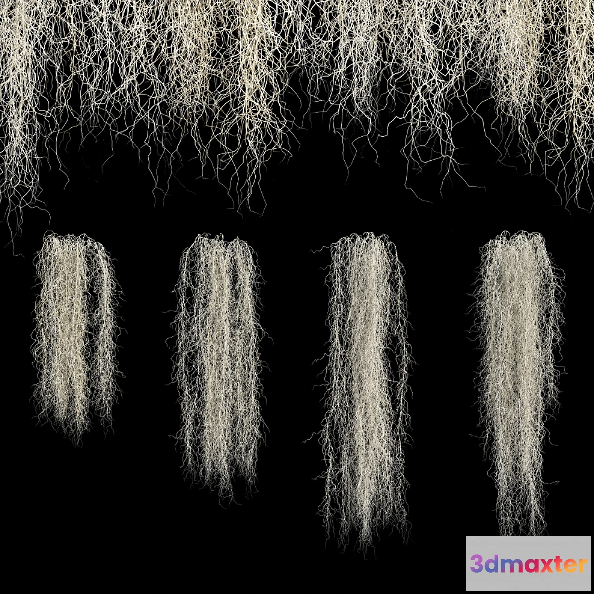 1396470 - Spanish moss 3D Max