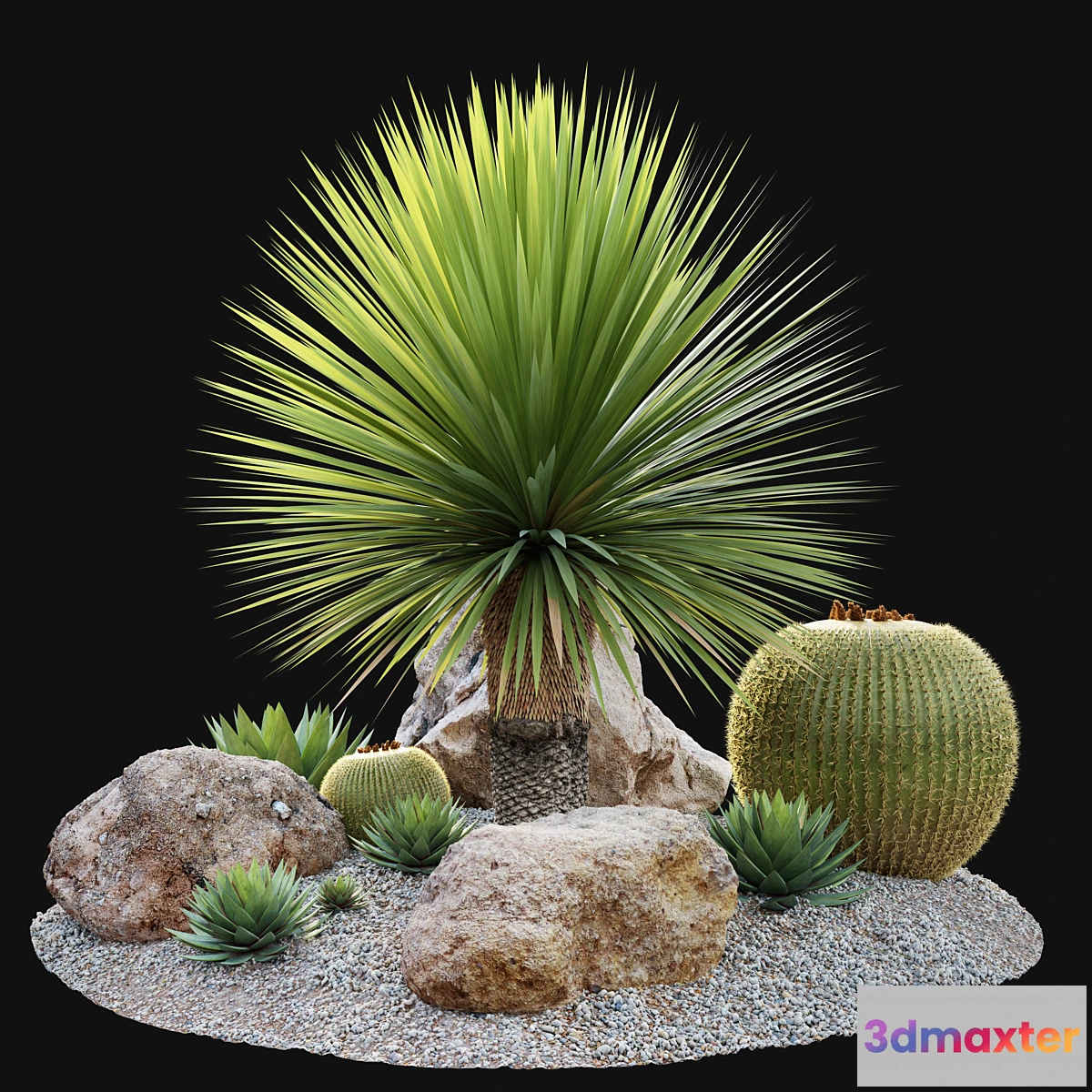 1397328 - Australian garden 3D Max