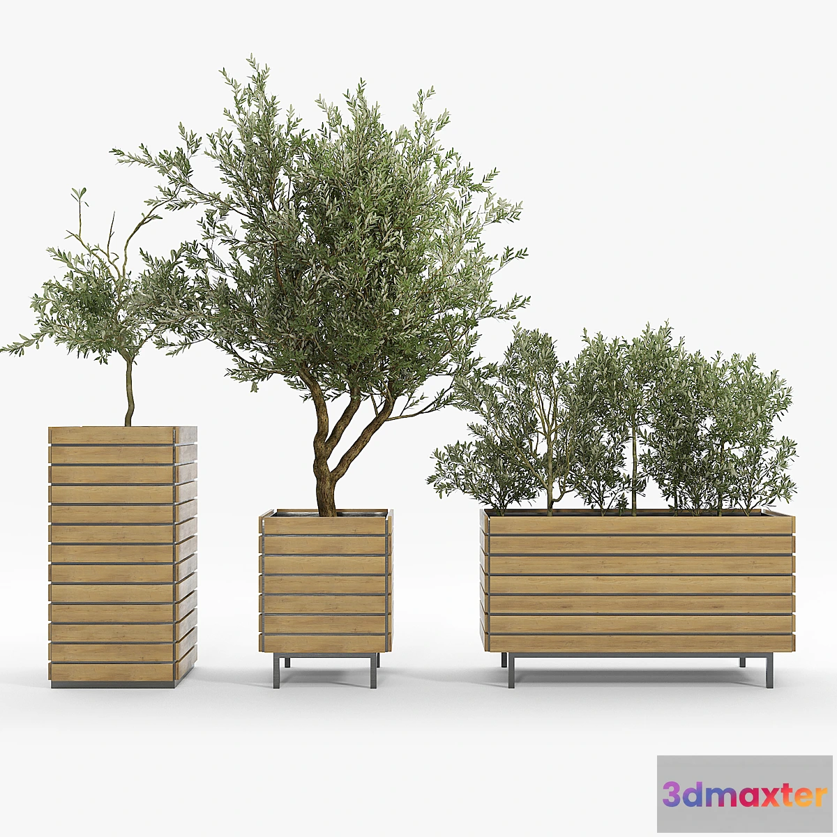 1399572 - jasper rectangle planter Olea europaea 3D Max