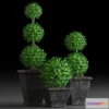1400488 - PLANTS 15 3D Max