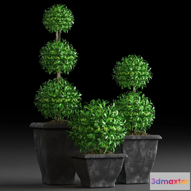 1400488 - PLANTS 15 3D Max