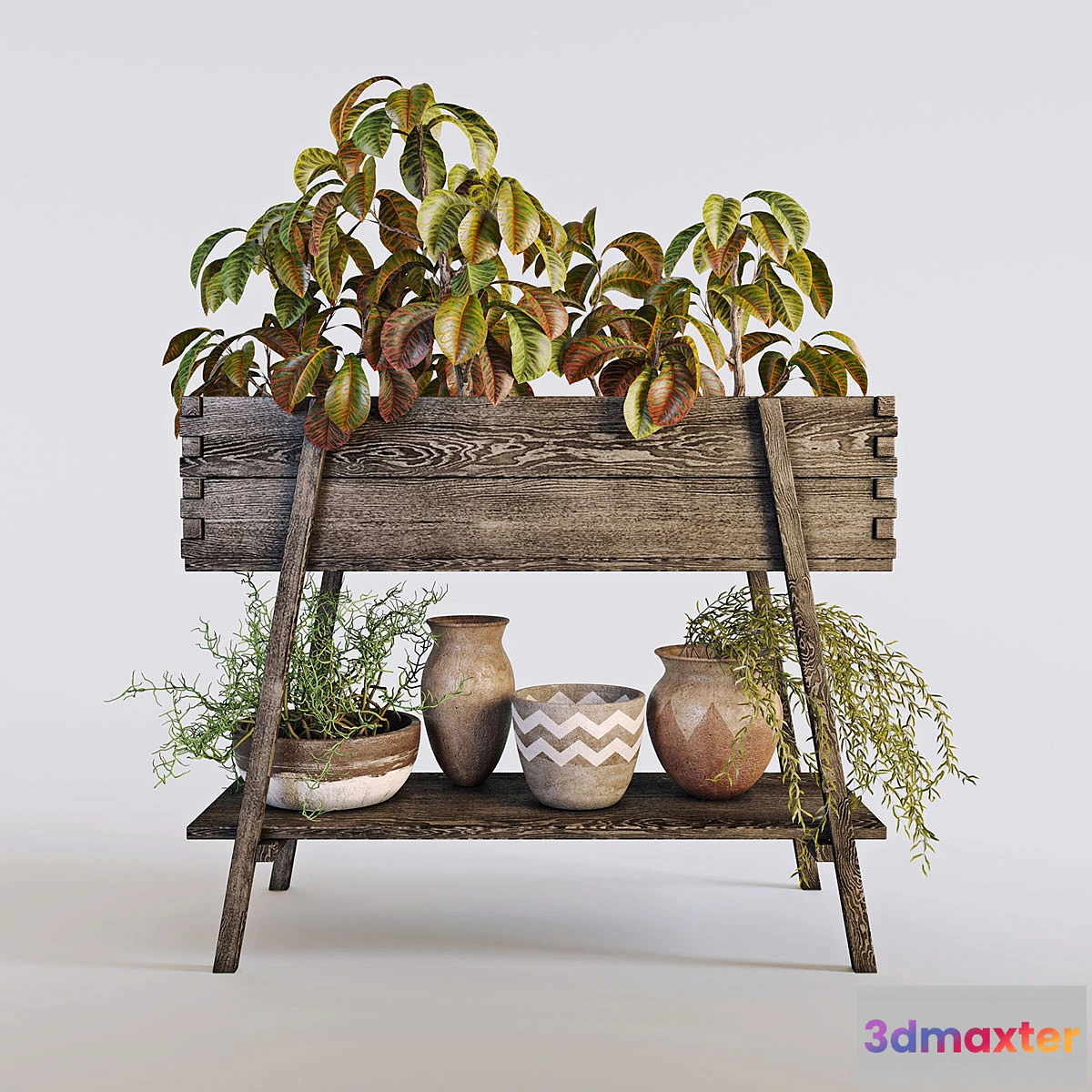 1401462 - Terrace plants 3 3D Max