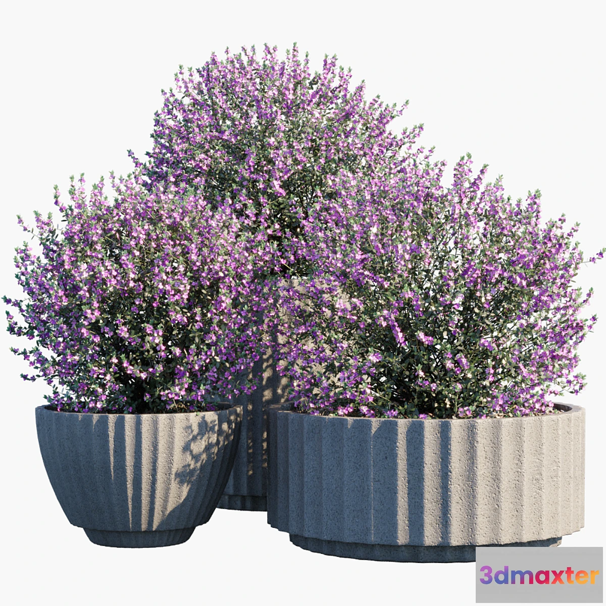 1402248 - Plant in pots # 29 3D Max