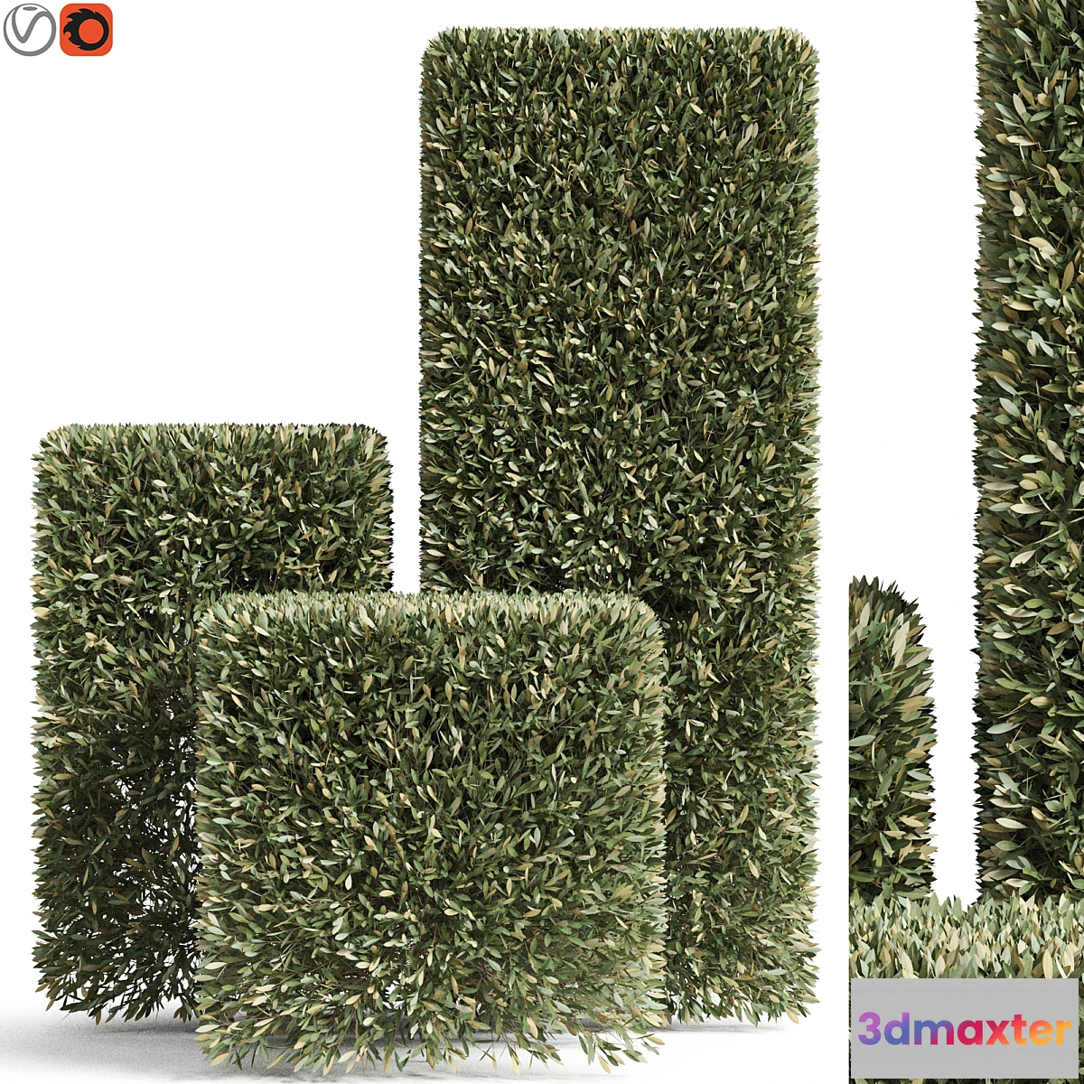 1402644 - Plants collection 858 3D Max