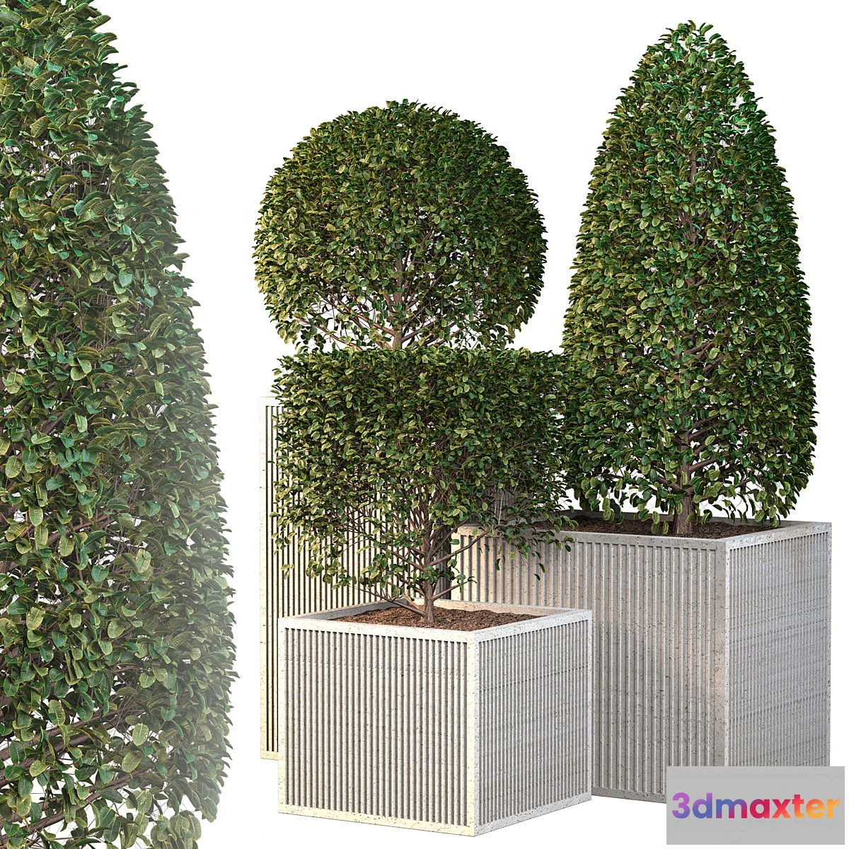 1404308 - Outdoor plants - Bush vol2 3D Max