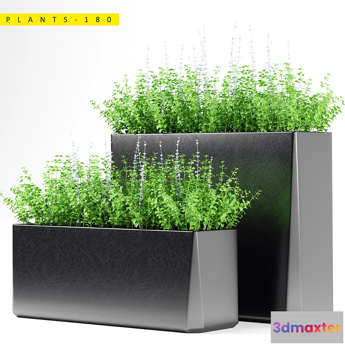 1408636 - PLANTS 180 3D Max