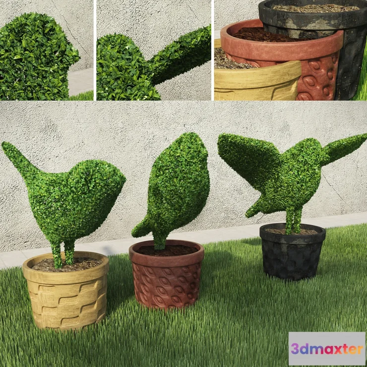1410220 - Birds - Shrubs 3D Max