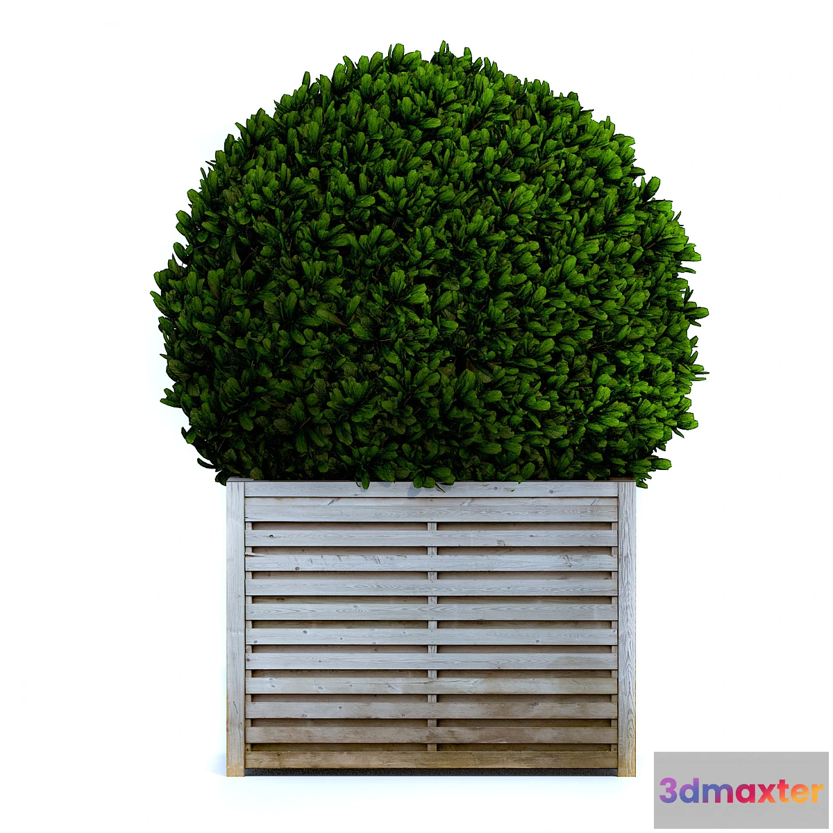 1412222 - Round bush 3D Max