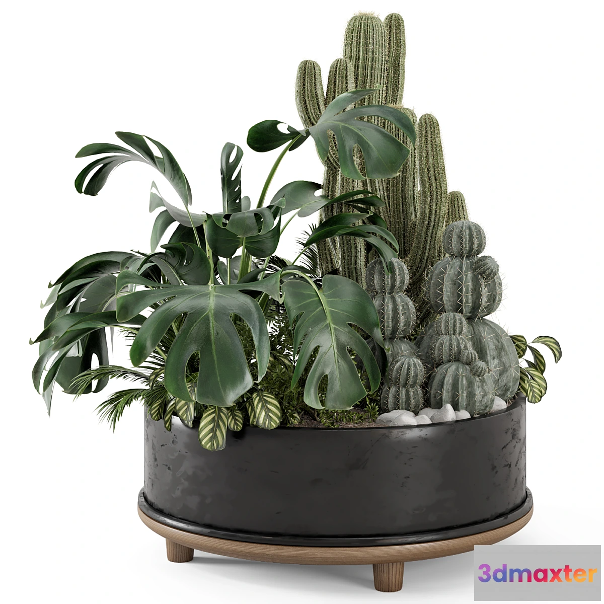 1417444 - Outdoor Plants Bush in rusty Metal Pot - Set 666 3D Max