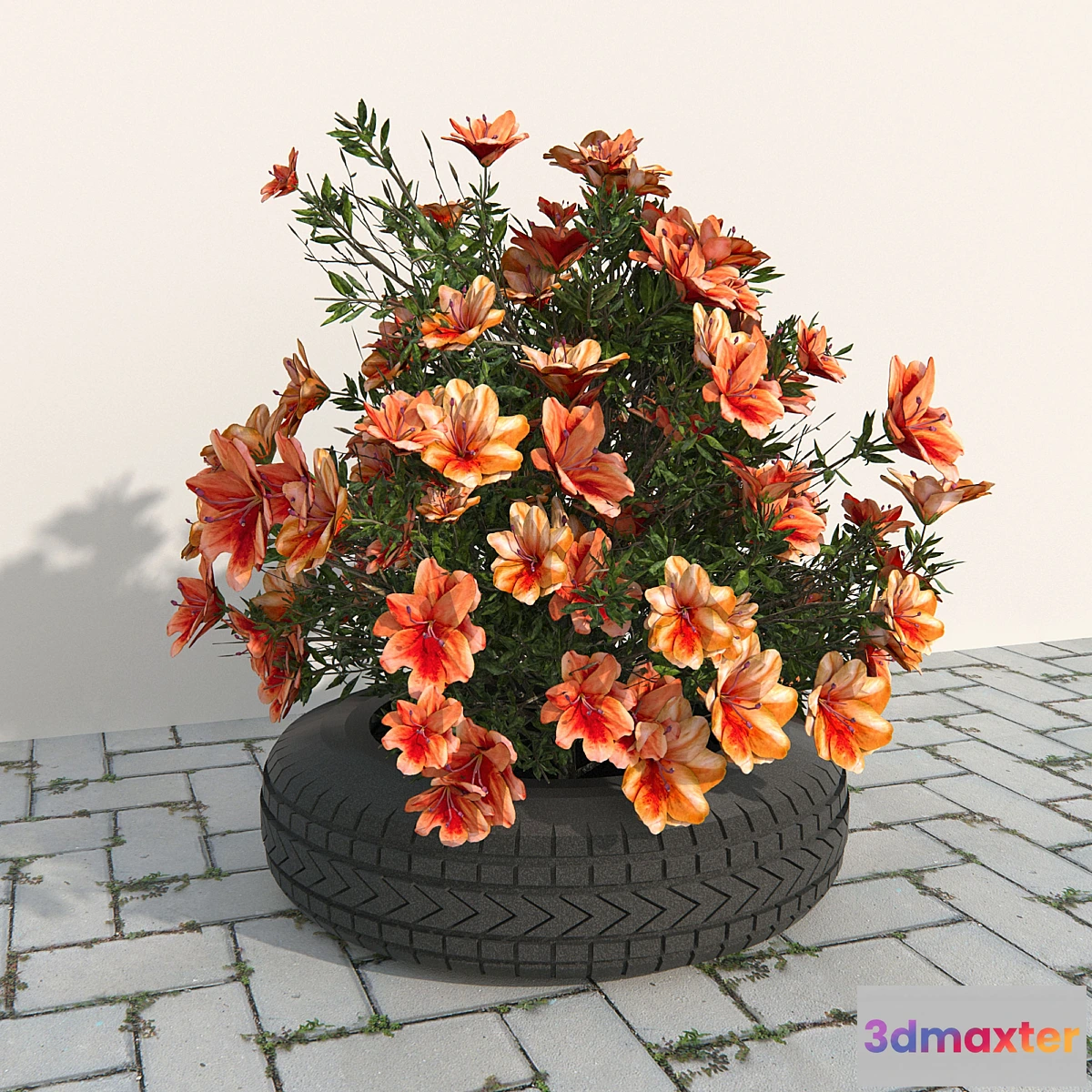 1421306 - flowerbed red azaleas 3D Max