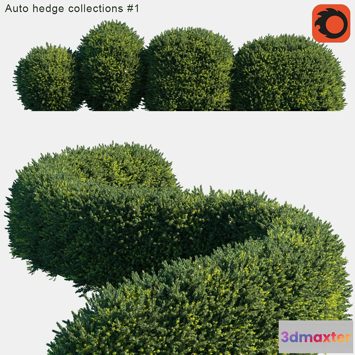 1422554 - Auto hedge collections # 1 3D Max