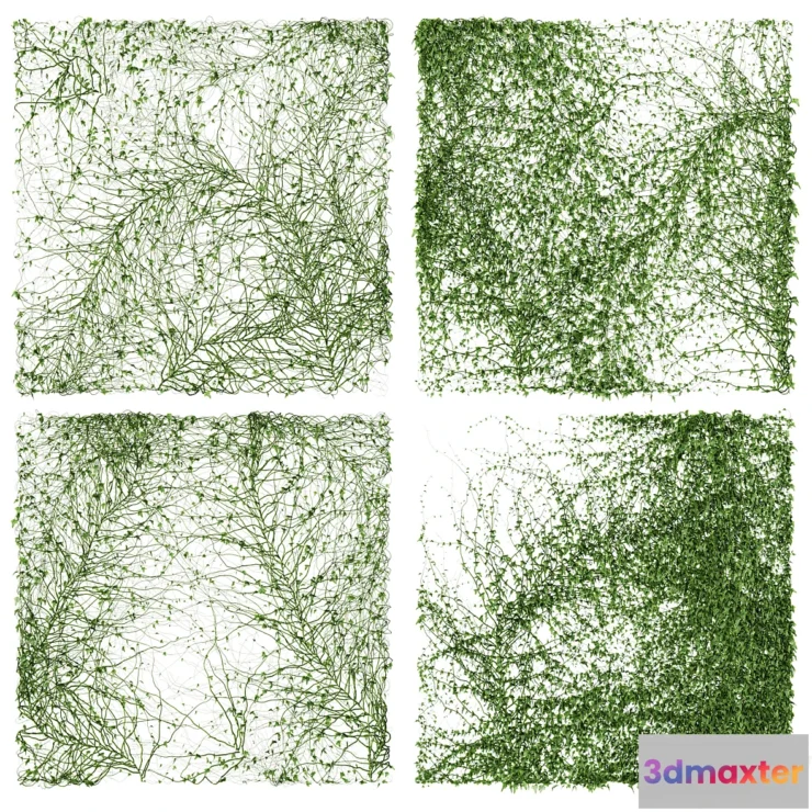 1423542 - Ivy Wall. 4 models. v2 3D Max