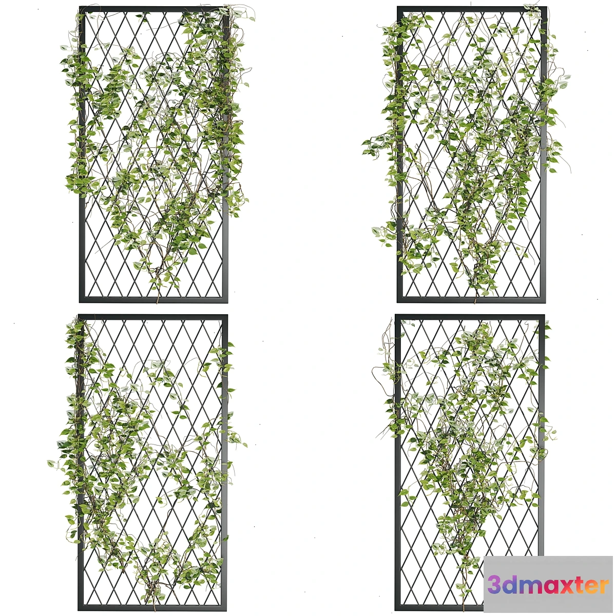 1425008 - Ivy_Plants_04 3D Max