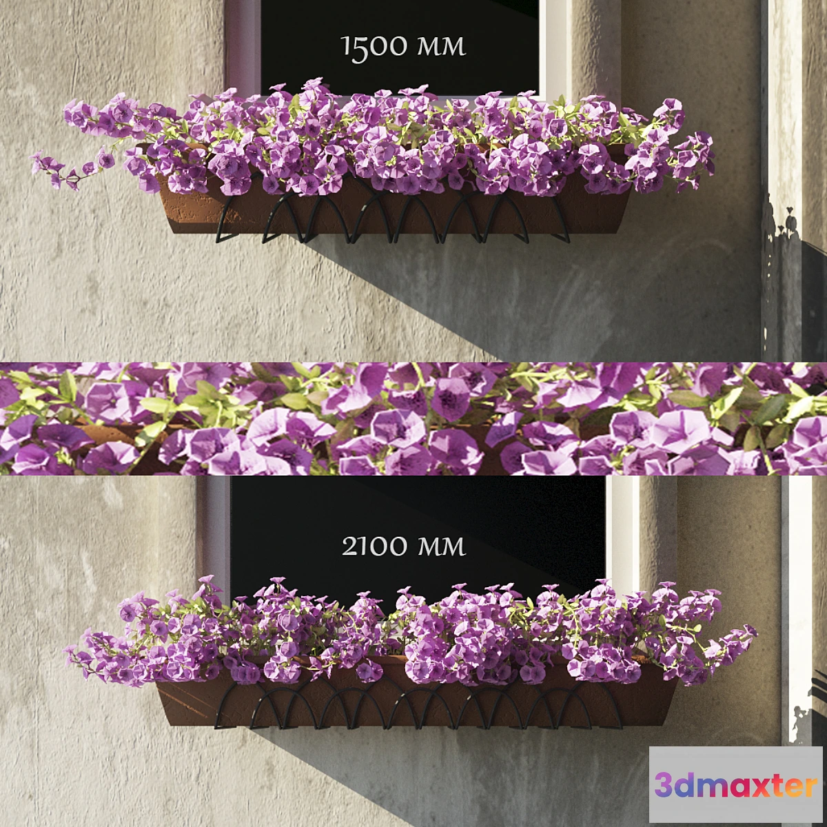 1427538 - Summer Queen. 9 3D Max