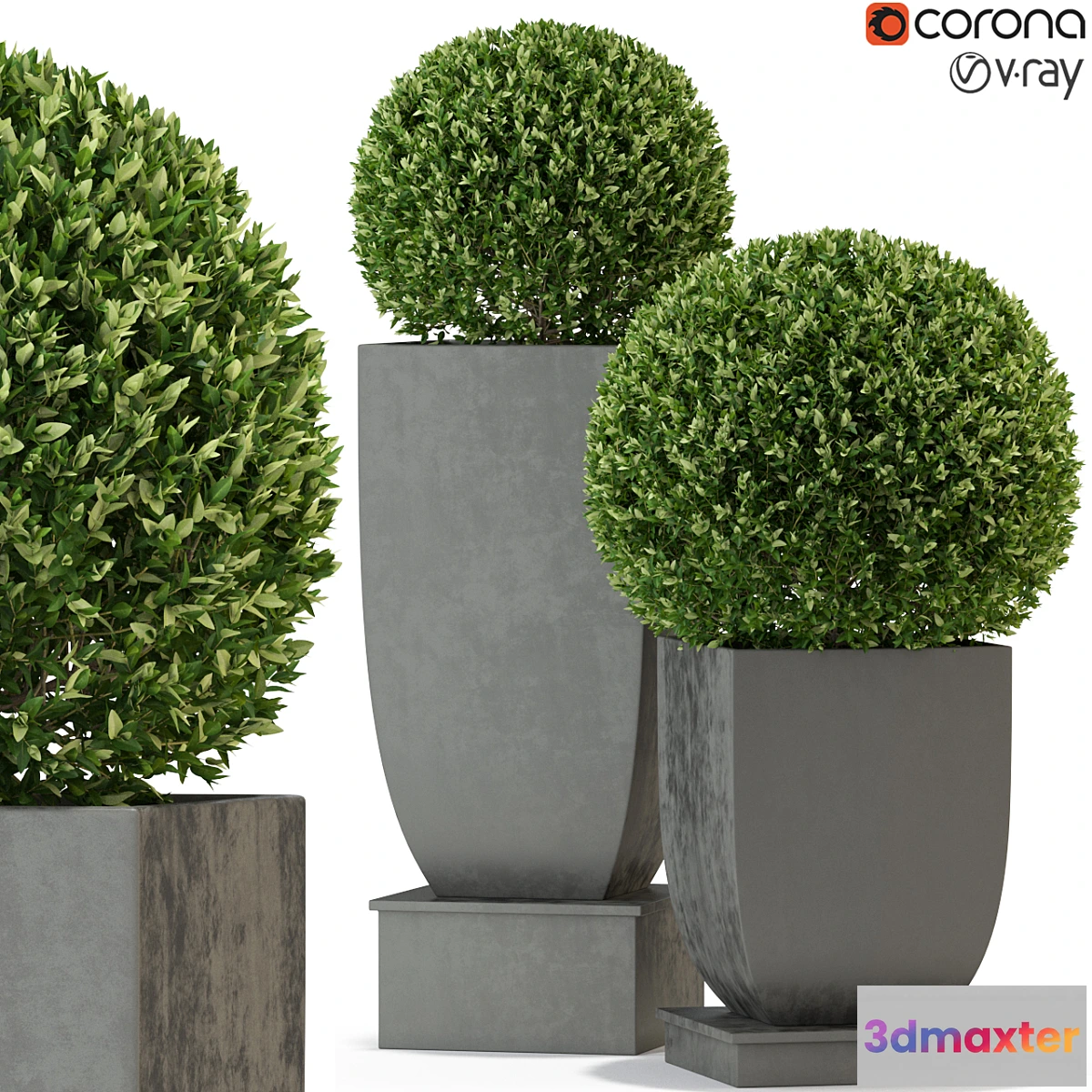 1429070 - Plants collection 328 3D Max