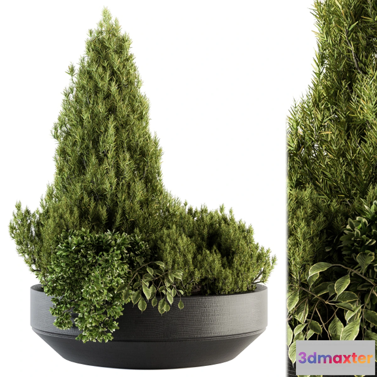 1434418 - Outdoor Plants Garden - Set 142 3D Max