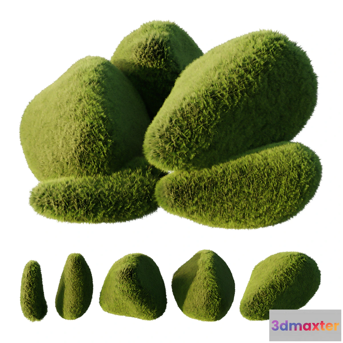 1434594 - topiary Plant01 3D Max