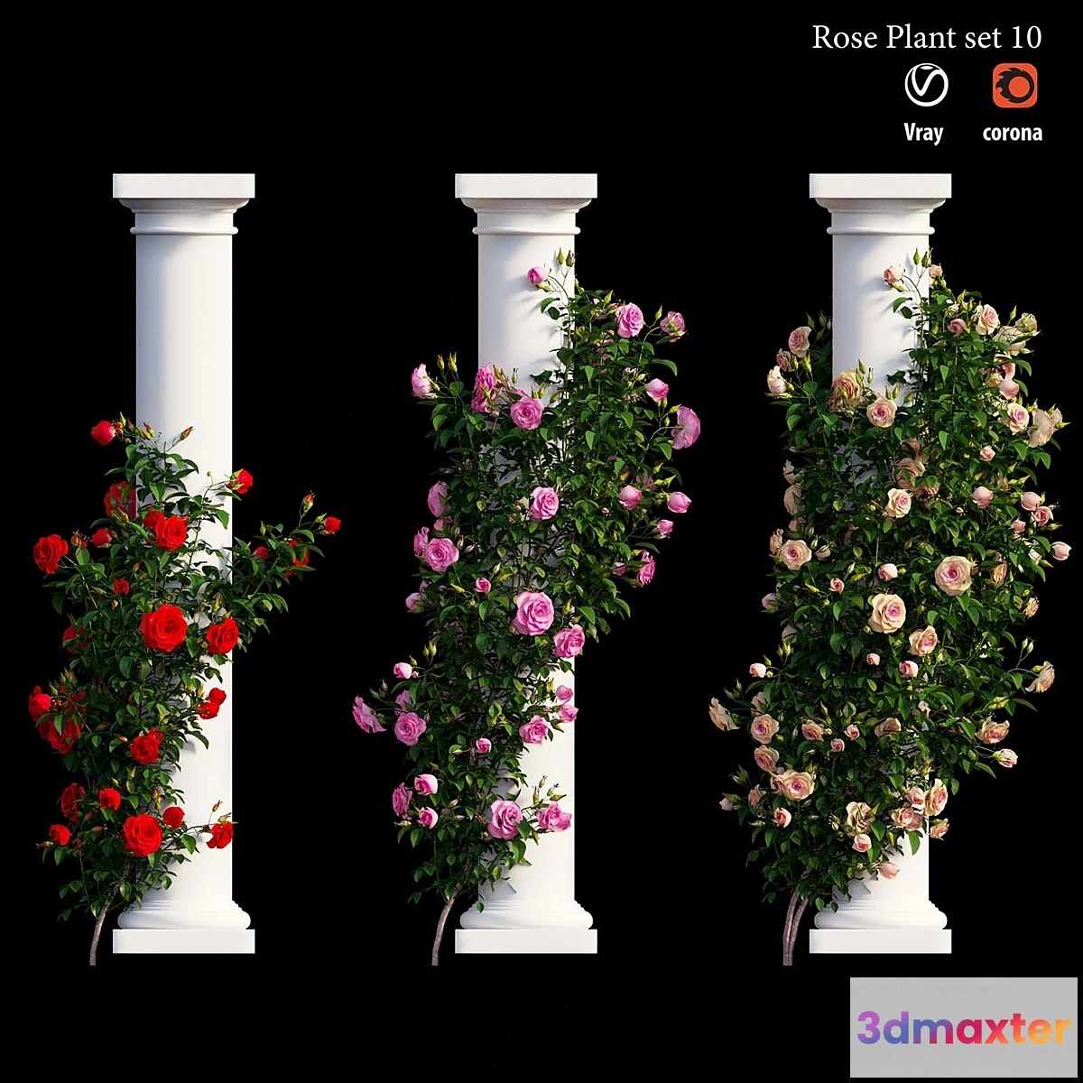1434932 - Rose plant set 10 3D Max