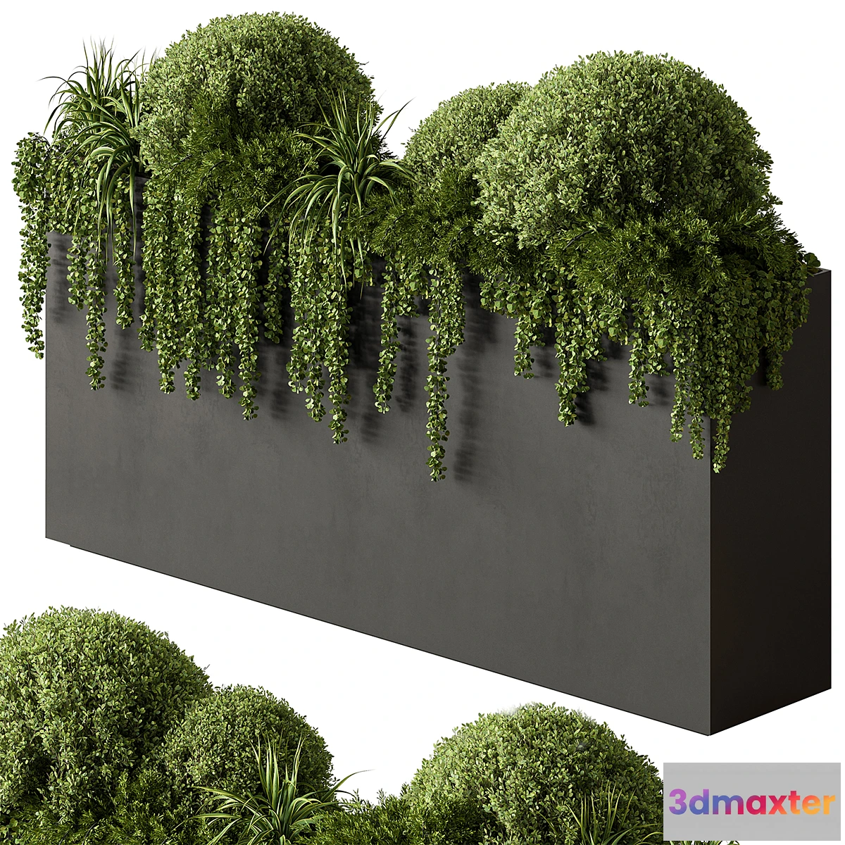 1435788 - Plant Box - Outdoor Plants 603 3D Max